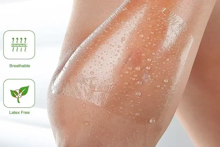 IV Transparent Dressing
