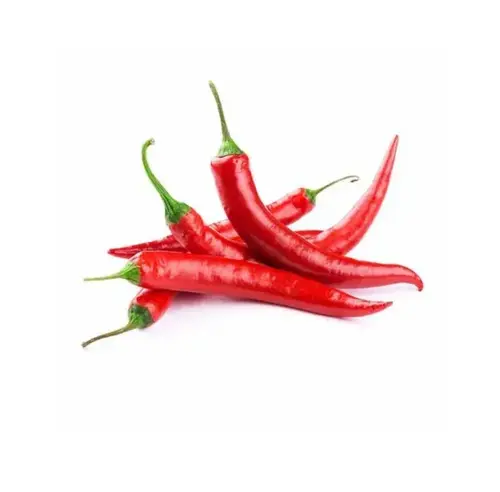 porous capsicum plaster porous capsicum plaster