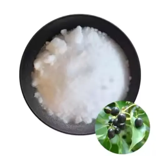 breathable capsicum plaster