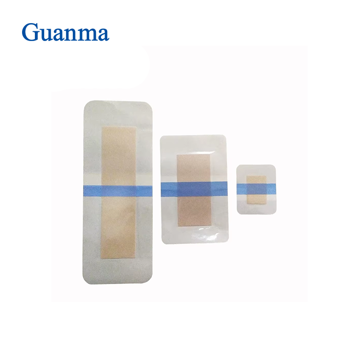 Transparent Wound Dressing