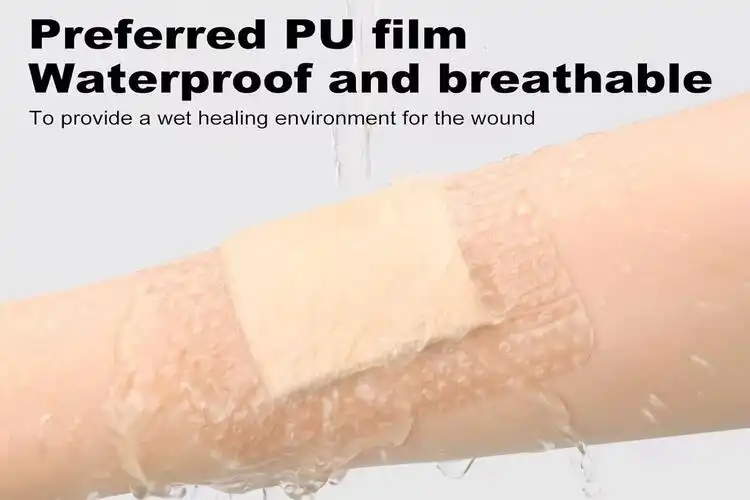 Foam Dressing with PU Film: Breaking Down Biofilm Barriers